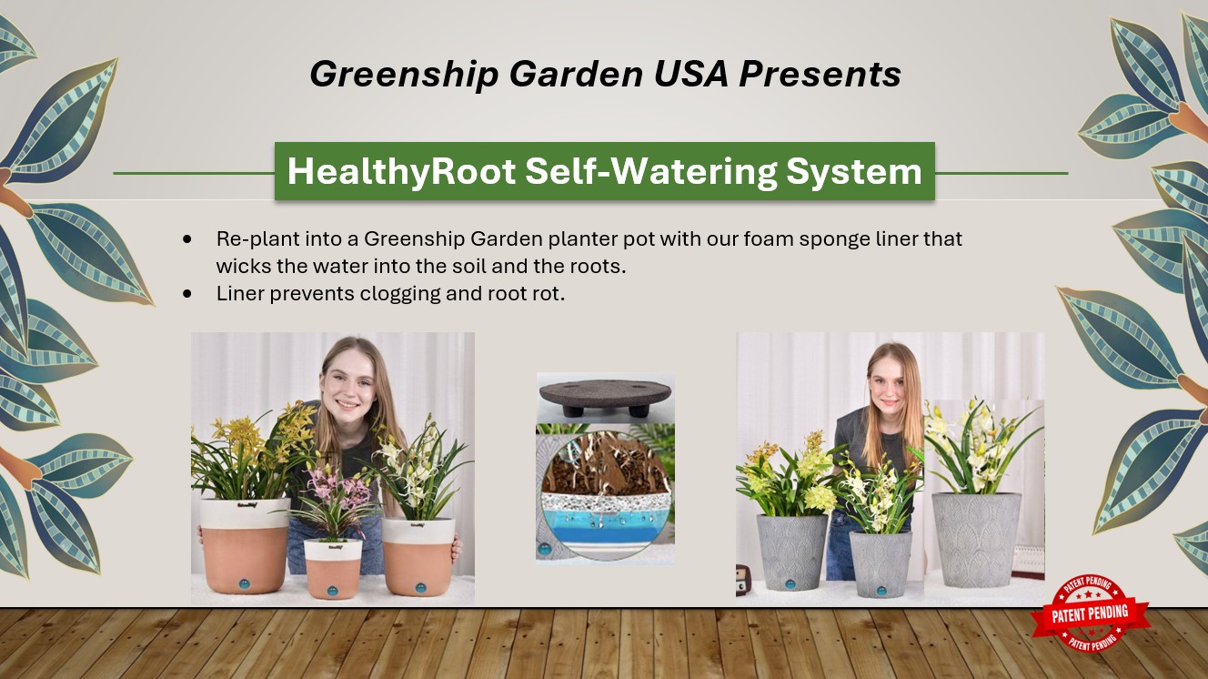 EZ Plant Care Program HealthyRoot Self Watering System